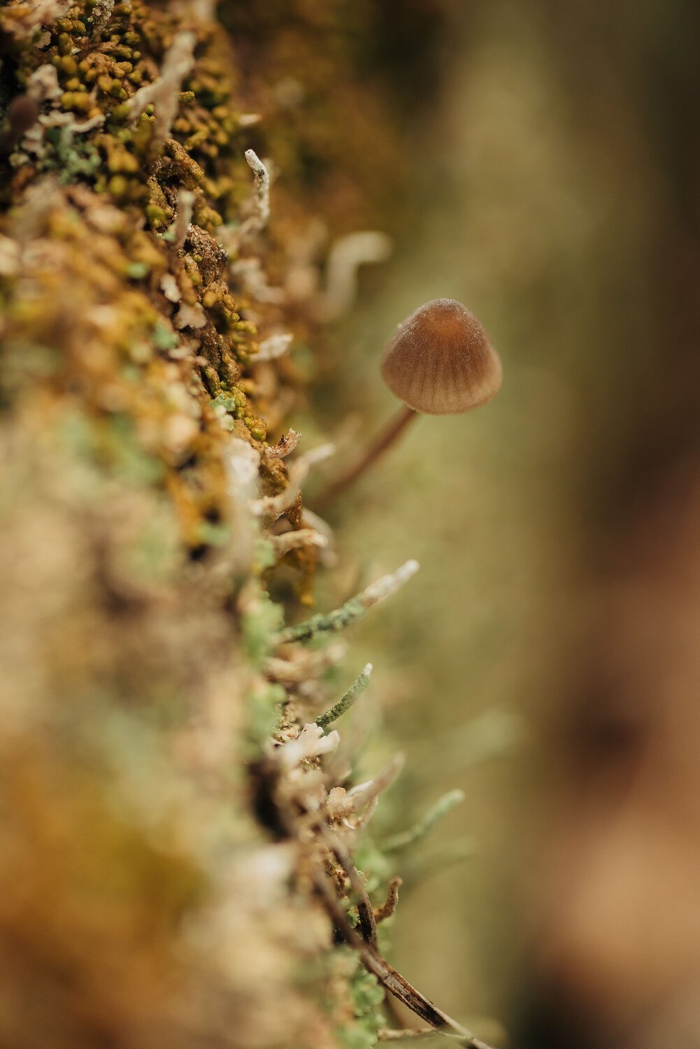Photo #10914558