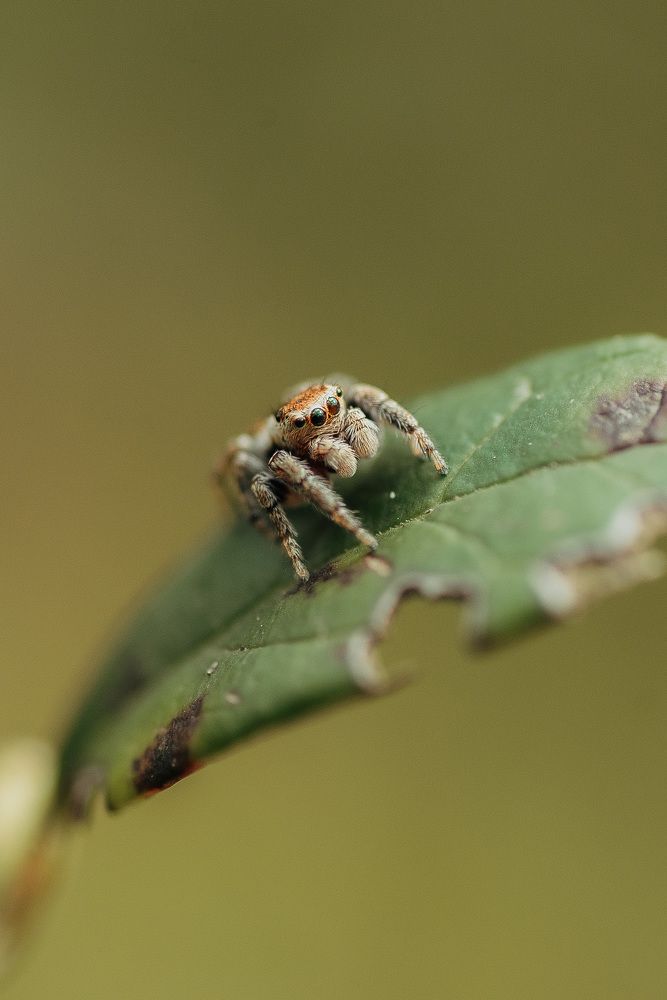 Photograph by Анна Бобкова