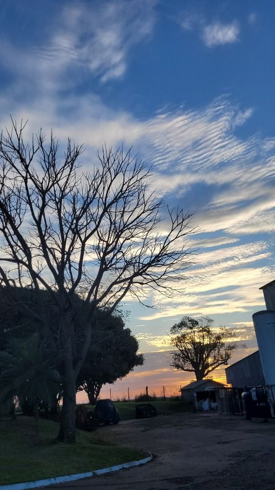 Photograph by Gilson Marcos Ferreira de OLIVEIRA