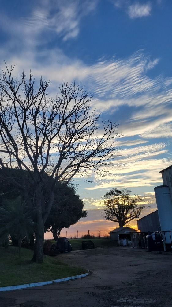 Photograph by Gilson Marcos Ferreira de OLIVEIRA