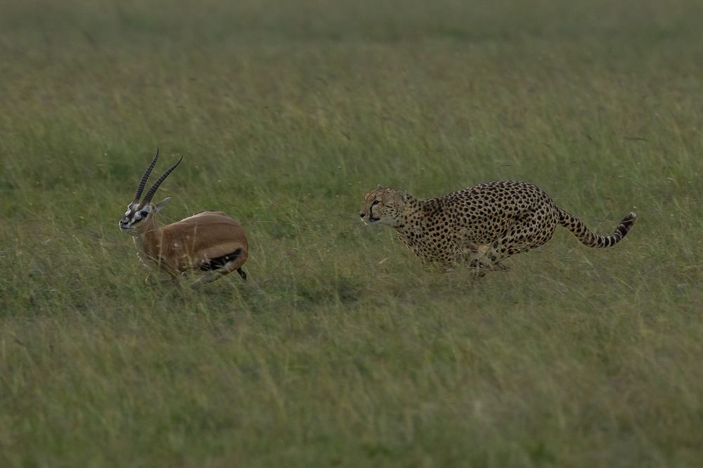 Photograph by Hymakar Valluri