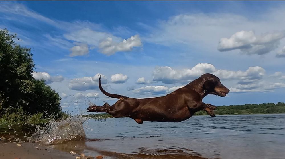 Photograph by Владимир Баженов