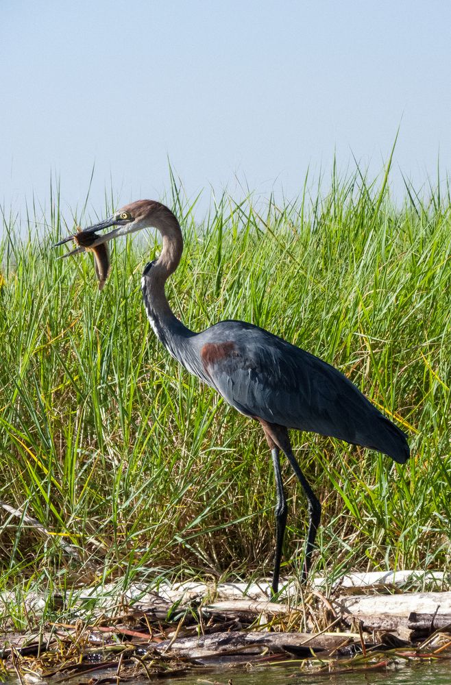 Photograph by Юрий Сычев