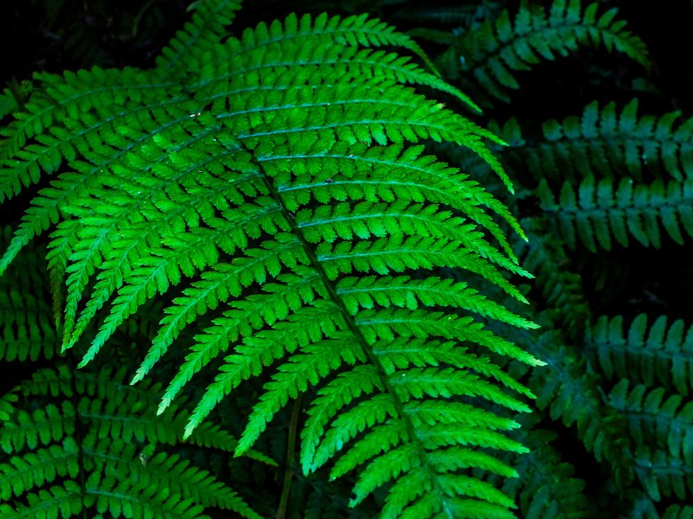 Photograph by Мария Толмачева