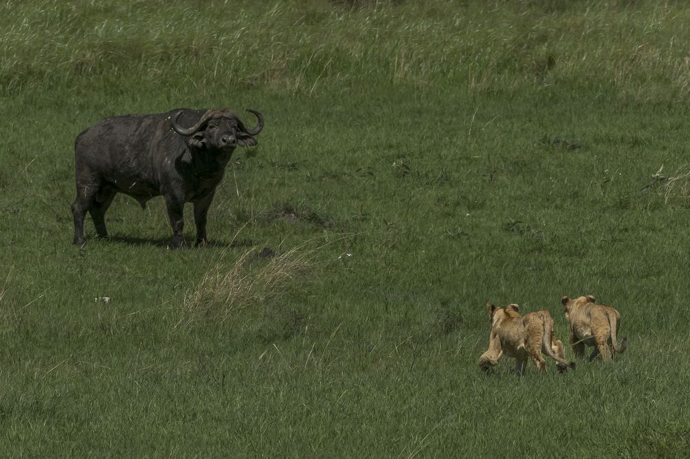 Photograph by Hymakar Valluri