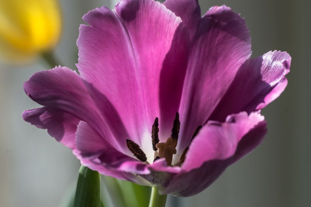 Photograph by Nadezhda