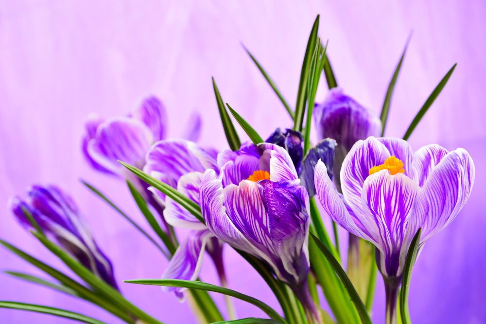 Photograph by Andrey