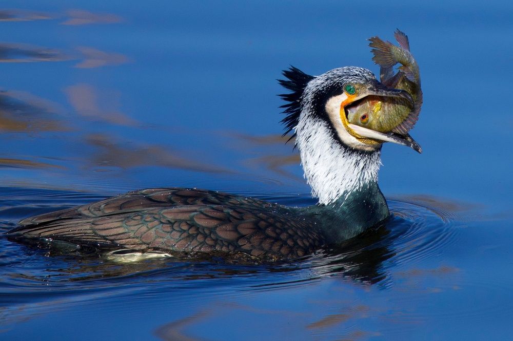 Photograph by David Manusevich