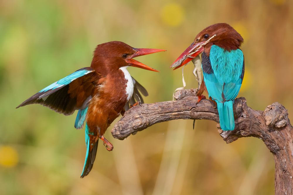 Photograph by David Manusevich