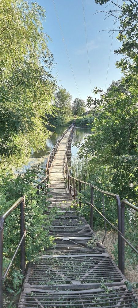 Photograph by Elena Ovsannikova