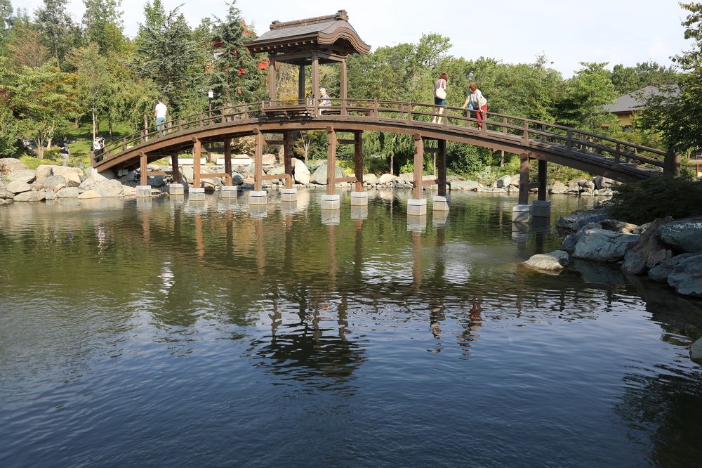 Photograph by Elena Ovsannikova