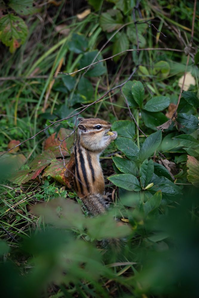 Photograph by Наталья Сорокина