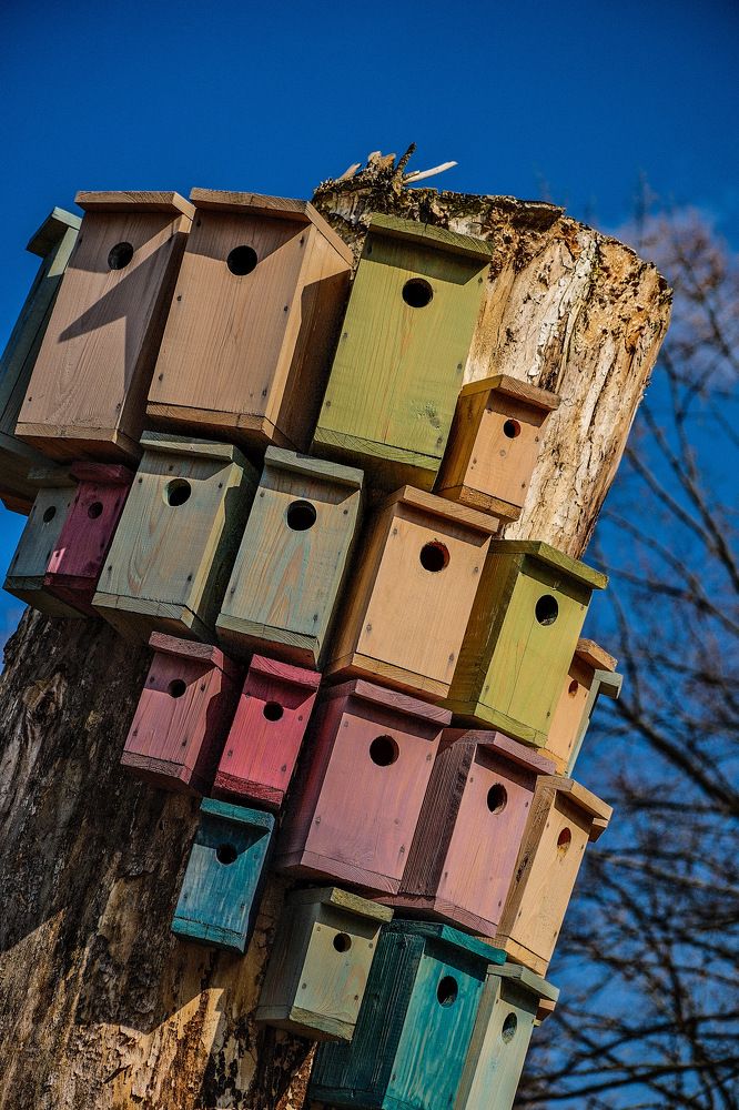 Photograph by Алексей Большаков