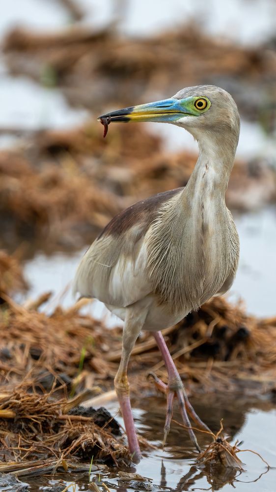 Photograph by Pratik Bhatt