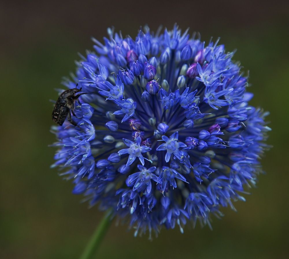 Photograph by Алексей Хазов