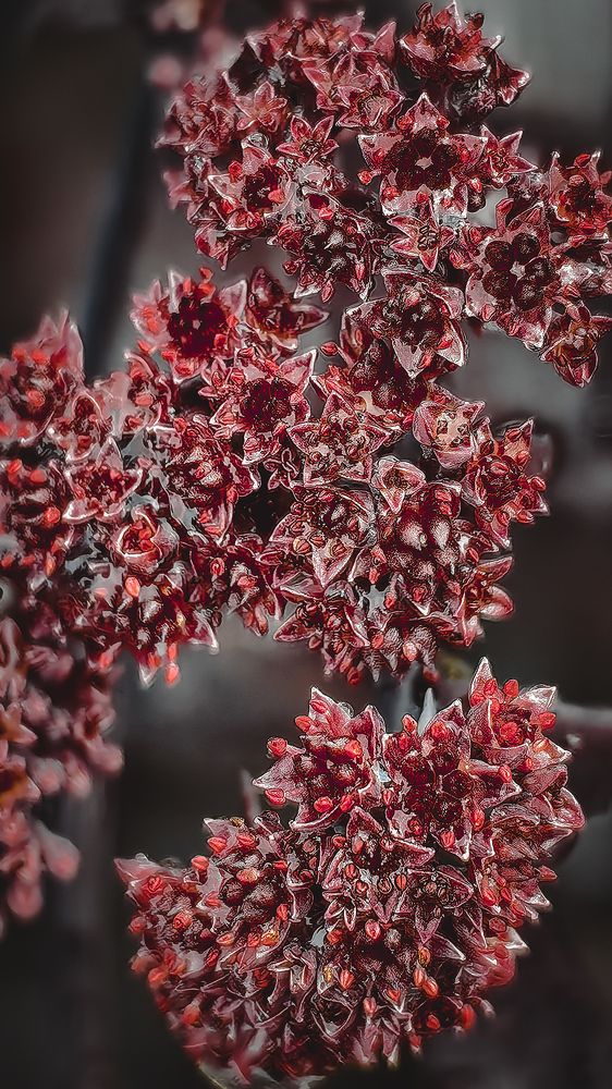 Photograph by Татьяна