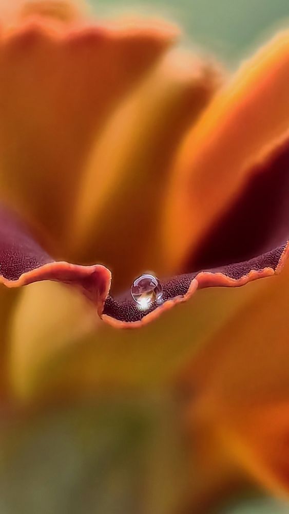 Photograph by Татьяна