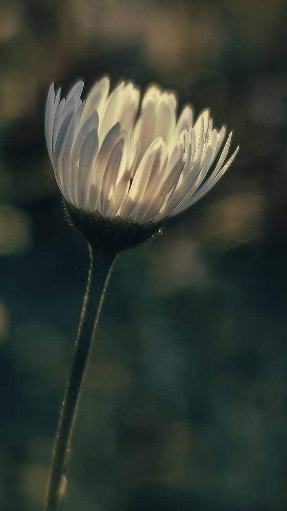 Photograph by Татьяна