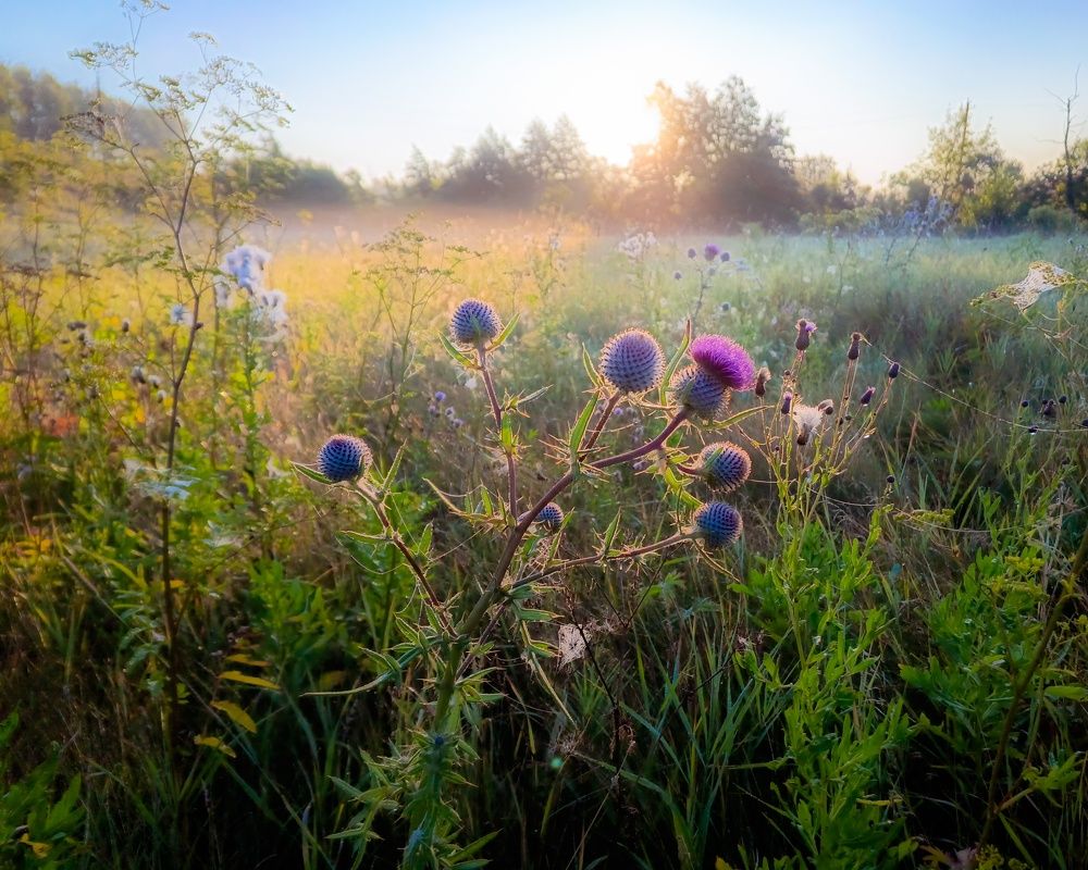 Photograph by Кондрашова Светлана