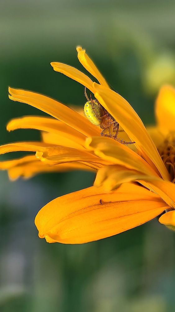 Photograph by Татьяна