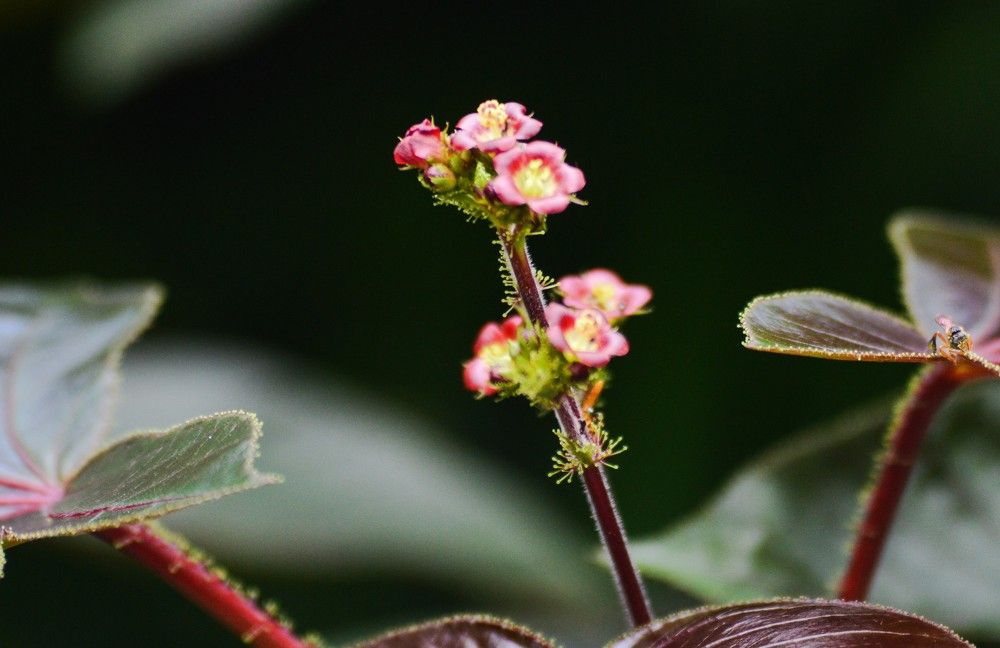 Photograph by Andre Nunes