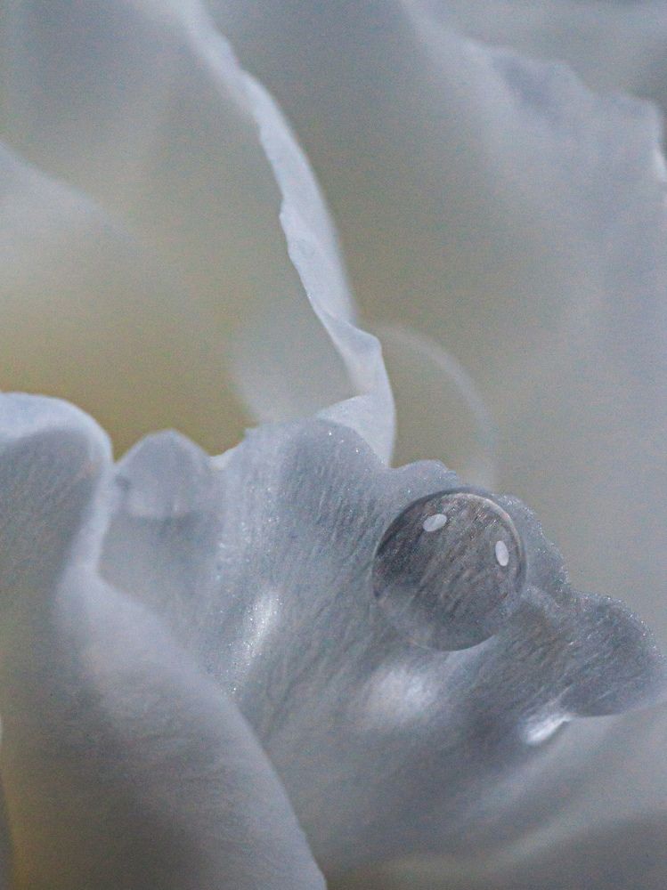 Photograph by Ирина