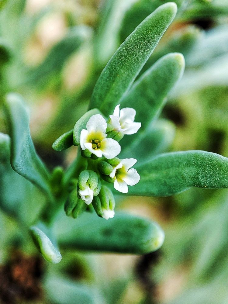 Photograph by Buddhika Dinuranga