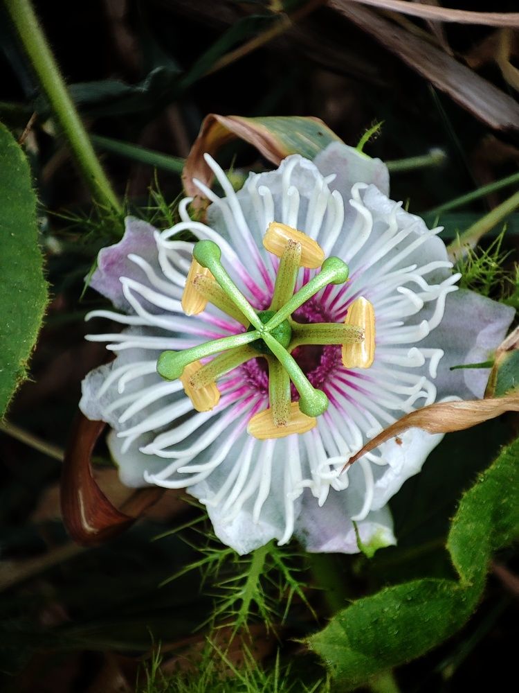 Photograph by Buddhika Dinuranga