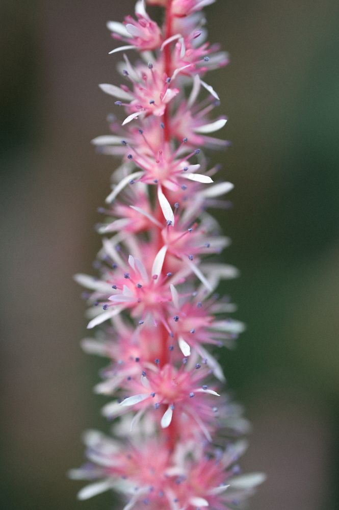 Photograph by Татьяна Ефимова