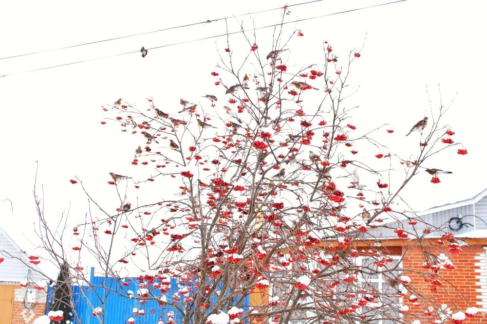 Photograph by Людмила Липаткина