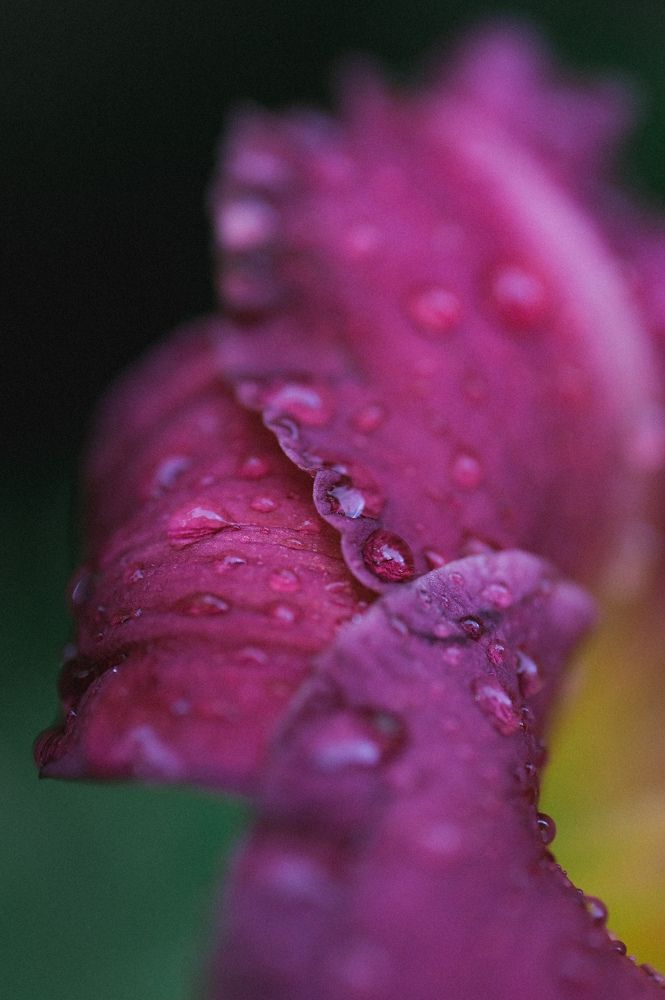 Photograph by Татьяна Ефимова