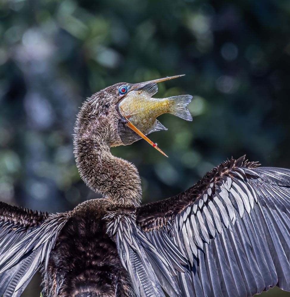 Photograph by Schletter Jackie