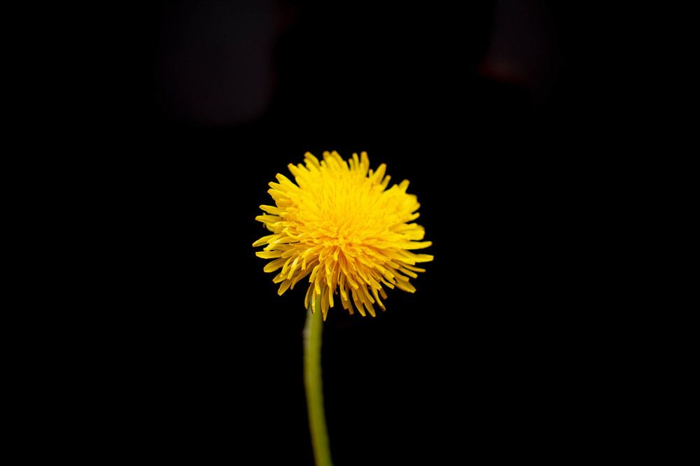 Photograph by Сергей Махницкий