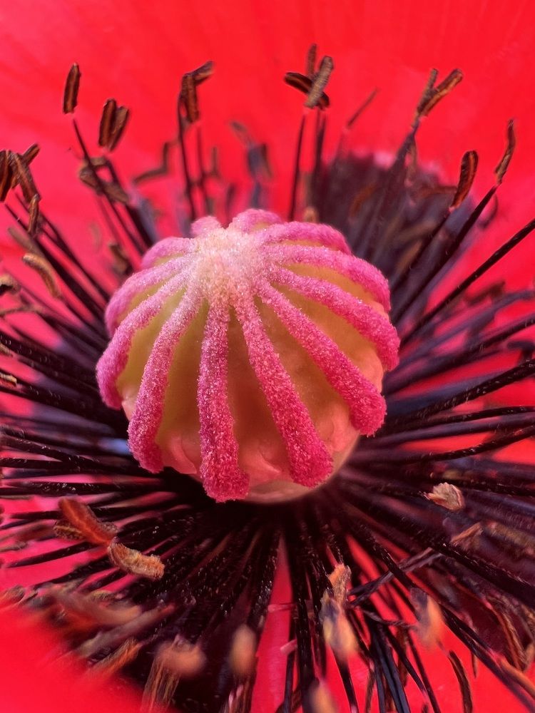 Photograph by Татьяна Волохова