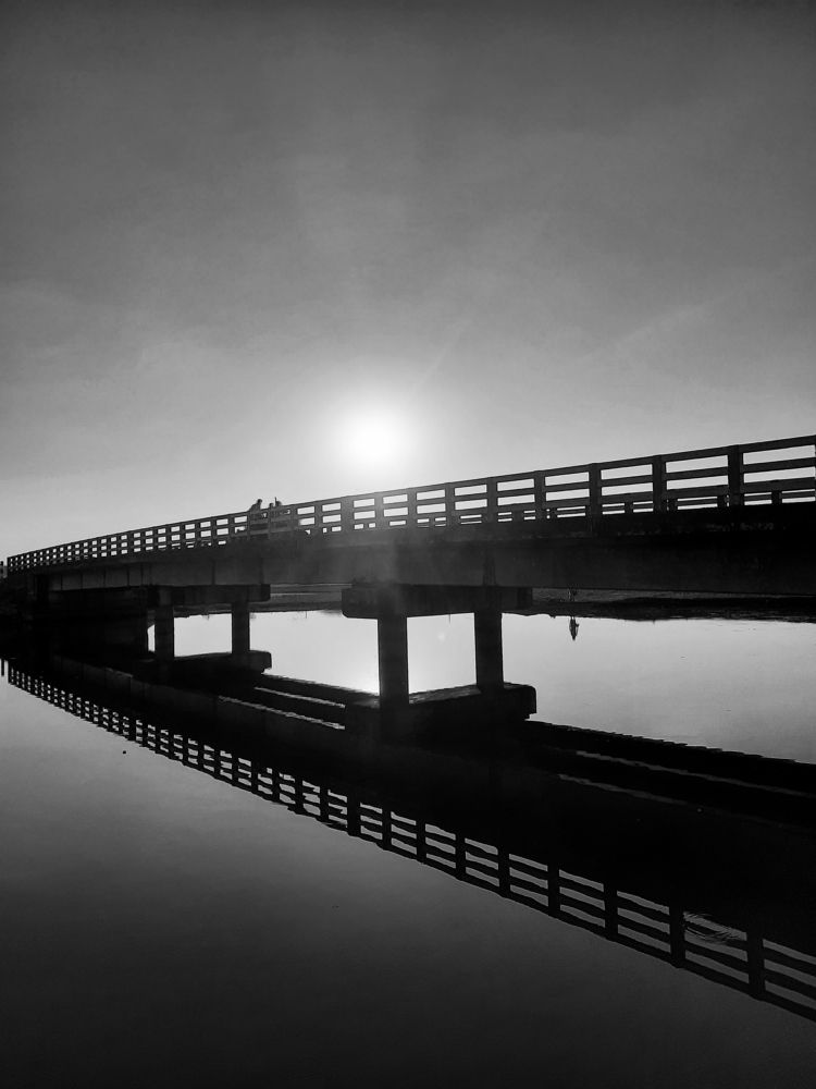 Dark reflection