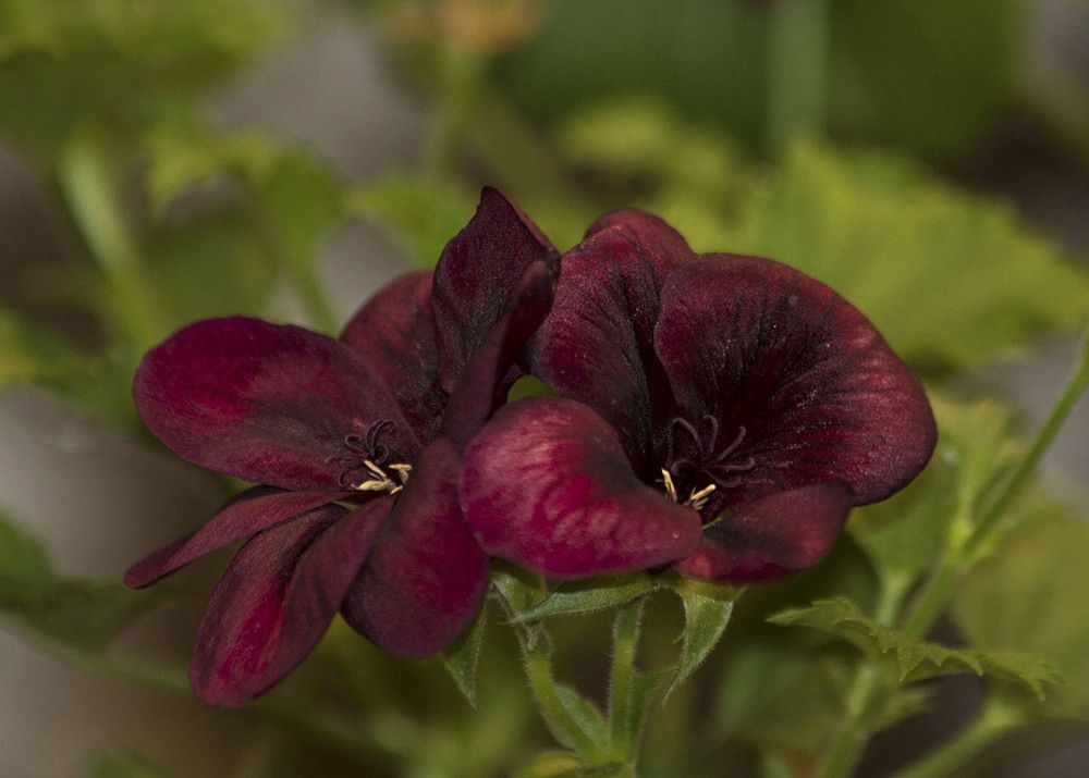 Photograph by Людмила Павловна