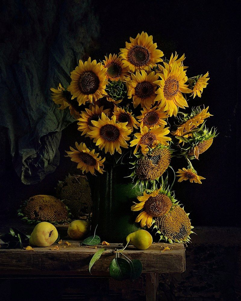 Photograph by Инга Шевелёва