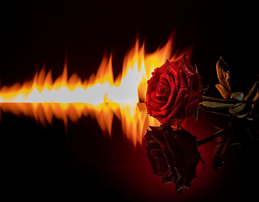 Photograph by Юрий Маслов