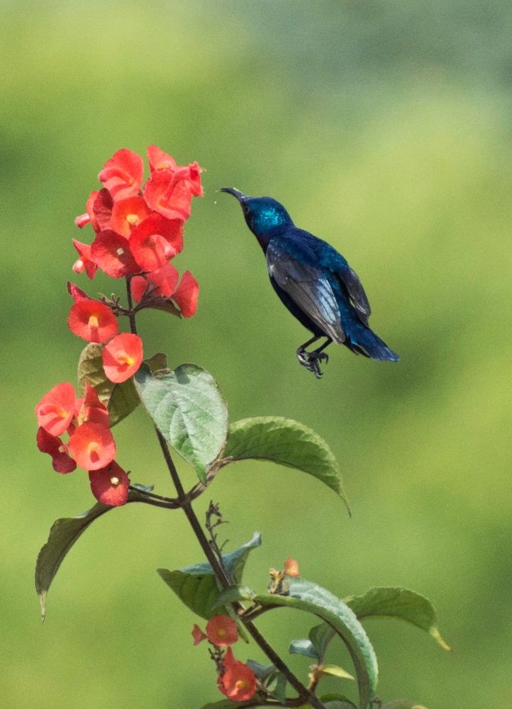 Photograph by Ahana Deb