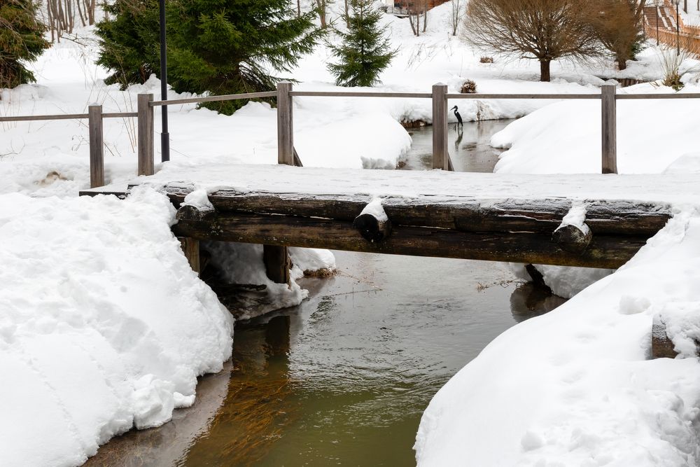 Photograph by Константин Пухов