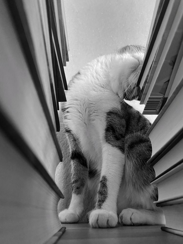 Photograph by Станислава Садыкова