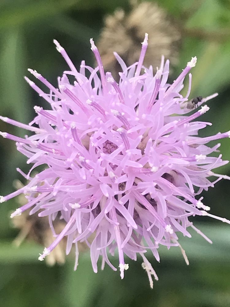 Photograph by Татьяна Гуськова