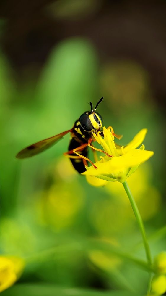 Photograph by Ольга Метлицкая