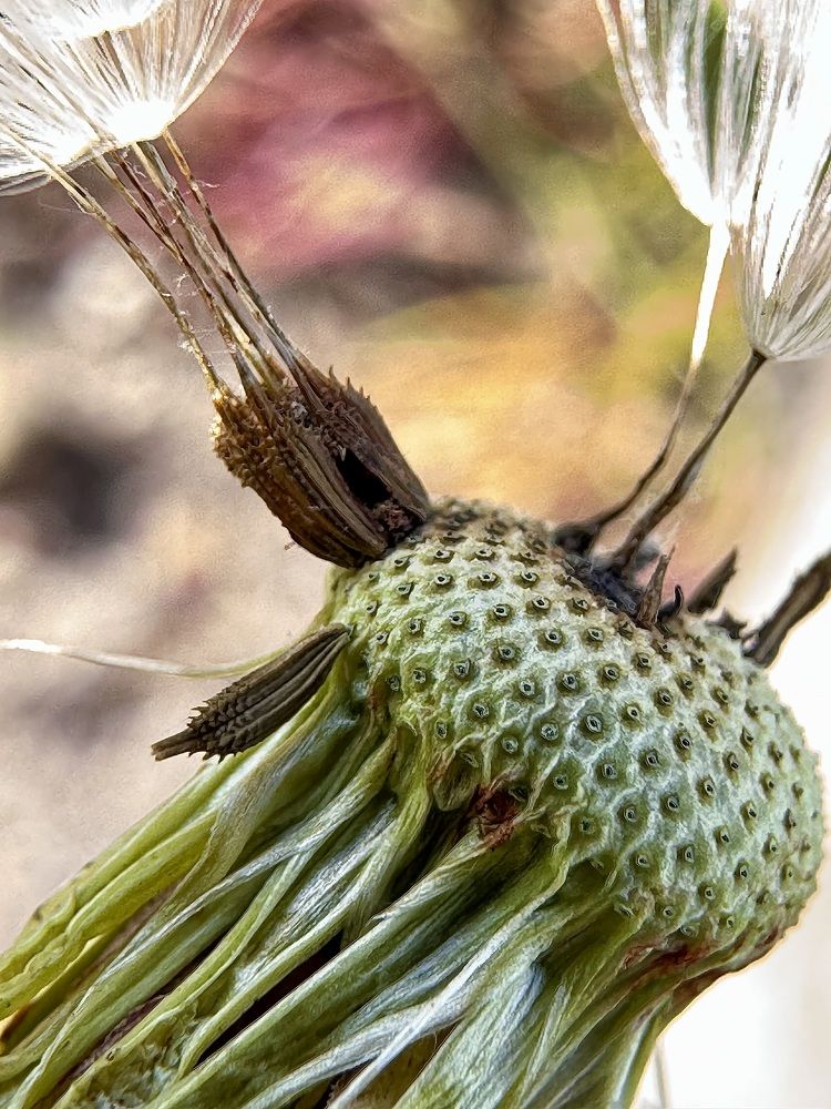 Photograph by Zhanna Kolesnikova