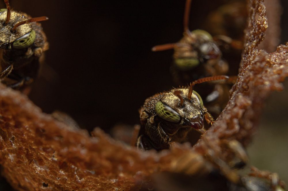 Фотография автора Andres Beltran