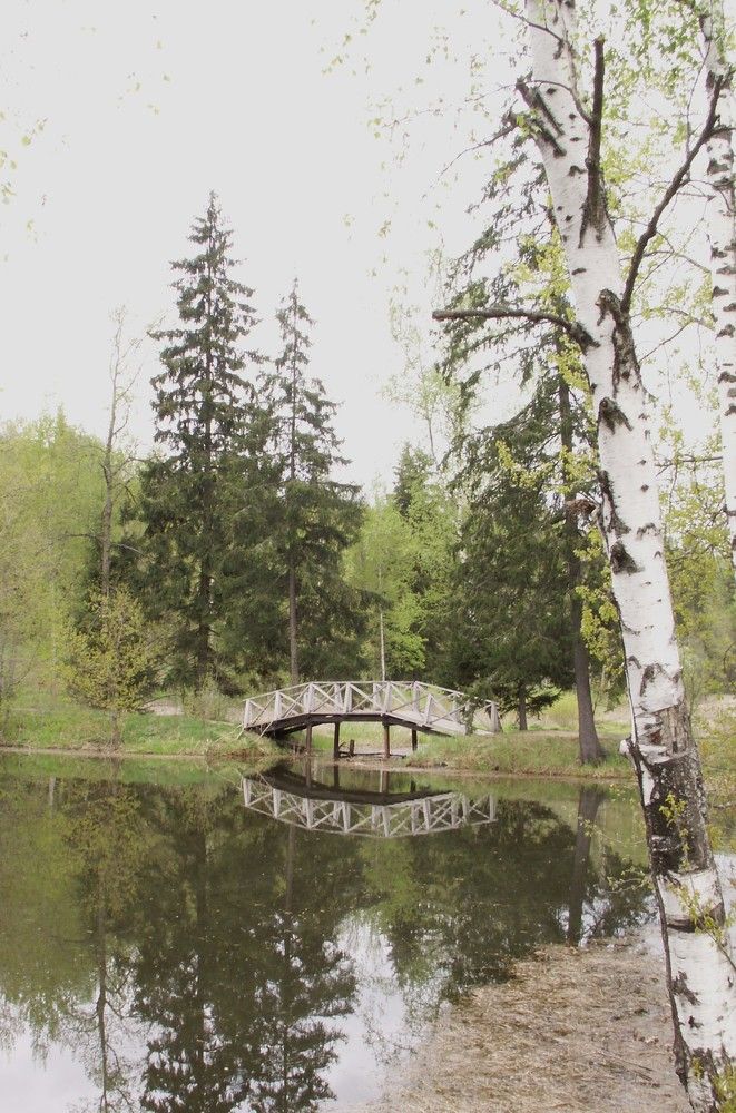 Photograph by Наталья Горбунова
