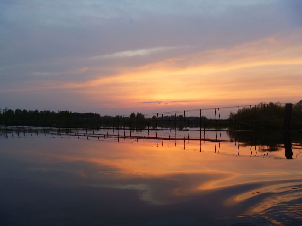 Photograph by Наталья Горбунова