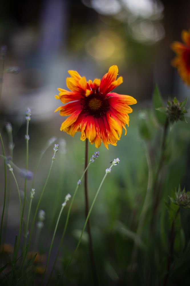 Photograph by Филипп Бабенко