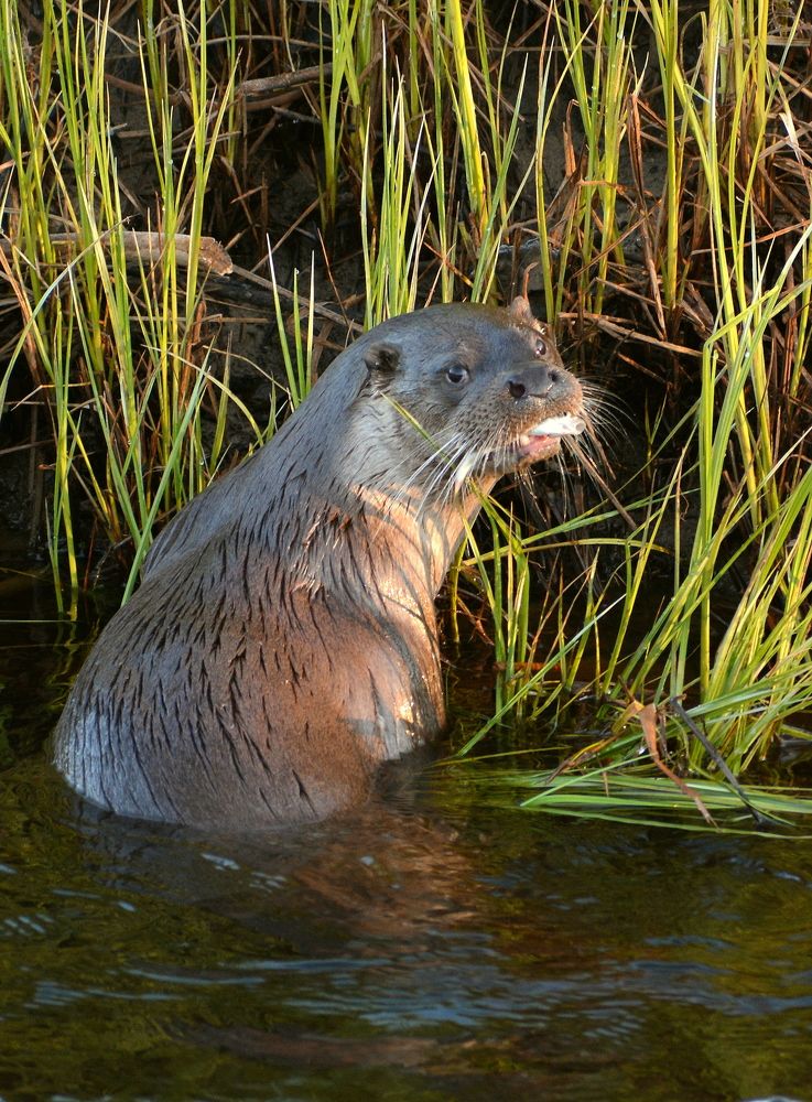 Photograph by Владислав Иопек