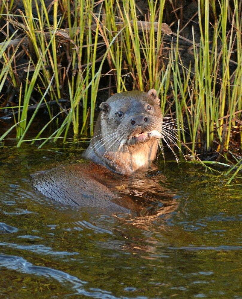 Photograph by Владислав Иопек